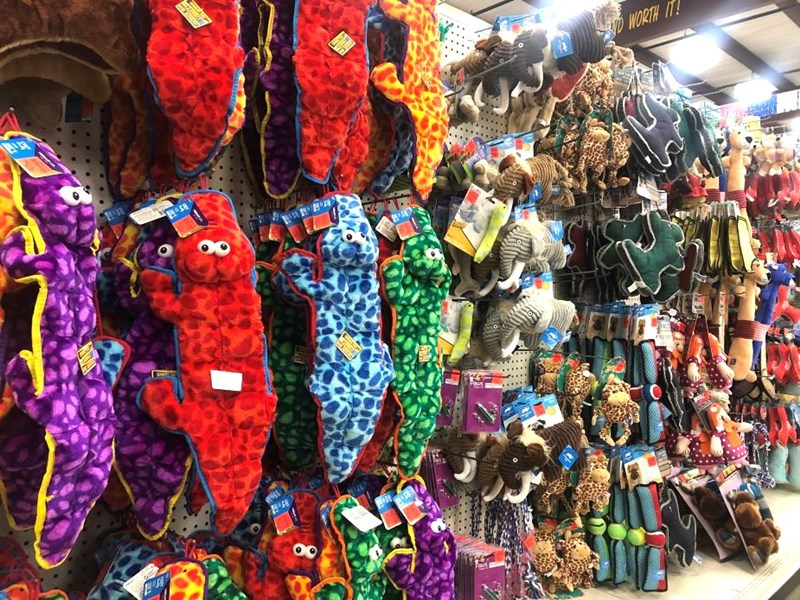 dog toys 925x694